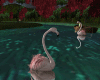 Flamingos Animated