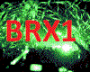 BRX1 BRX2berexa