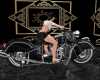 Moto HD