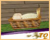 ~TQ~basket of bread