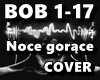 Noce gorace COVER