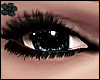 !✿ Hibiki Black Unisex