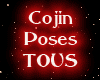 Cojin Poses TOUS II