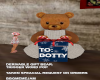 XMAS GIFT BEAR