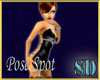 SD Derivable Posing Spot