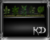 (kd) 5 Planter