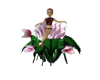 Sitting Pink Rose
