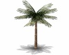 Palm Tree Upright