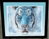 blue tiger picture