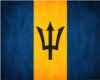 }Hii{Barbados Flag Frame