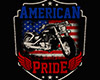 American Pride Sign