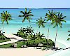 Honeymoon Island