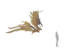 Phoenix Fantasy