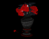 red Roses