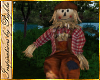 I~Scarecrow Boy