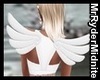 Angel Anim Wings