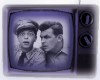 *Ani* Andy Griffith TV