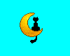 Black Cat On Moon