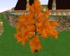 Orange Leaf Oak Tree