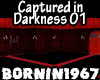 Captured in Darkness 01