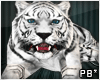 [PB]Animated White Tiger