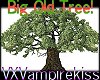 ^VXV^ Big Old Tree!