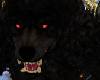 Lycan King Outfit