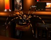 Spiders chair