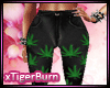 TB  Weed Pants V1
