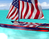 USA Catamaran