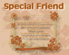 Special Friendship