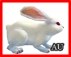 AU:White Rabbit pet
