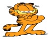 3D Garfield
