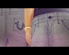True Religions Jeans.