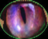 Male Purple Illumina Eye