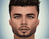 Realistic Male Head