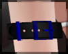 + Arm Belt Sapphire R