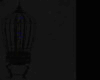 Blue Bird Cage Animated