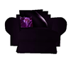 purple rose cuddle