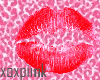 [xox] kiss