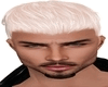 Sawyer Blonde