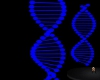 BLUE DNA STRAND LIGHTS