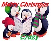 Merry Christmas- Crazy