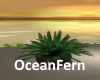 [BD]OceanFern