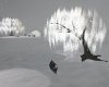 Never Alone Bundle