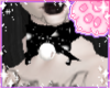 🐾 Kat Choker - Black