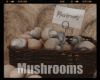 *Mushrooms