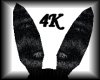 4K Bunny Ears 6