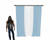 CJT's Elegant Drapes