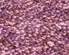 Lavender Berber Carpet